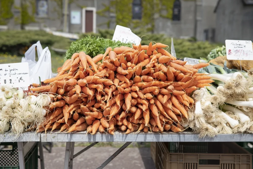 Sand carrot at the whelk fair