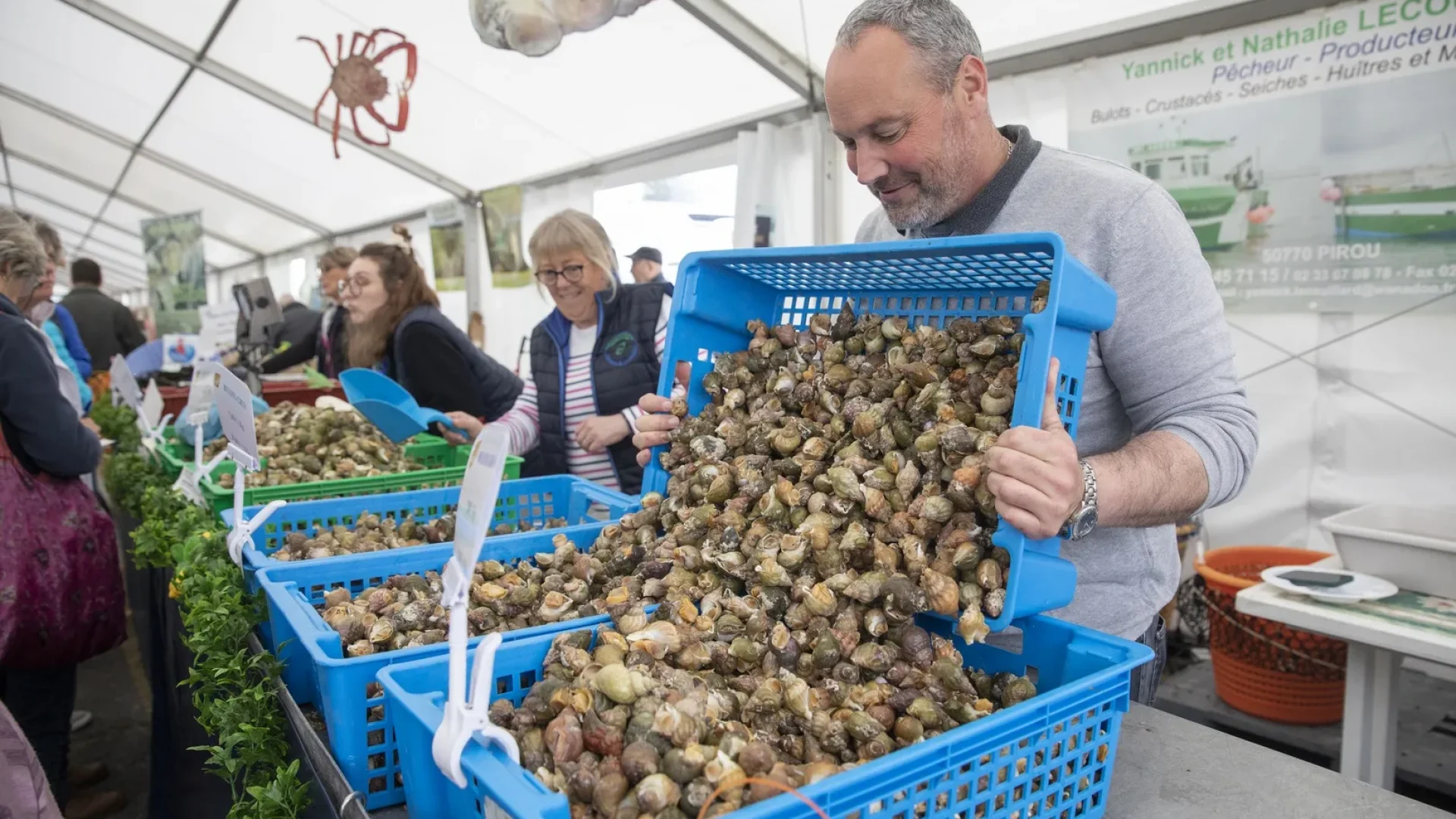 Producteur de bulots à Pirou plage