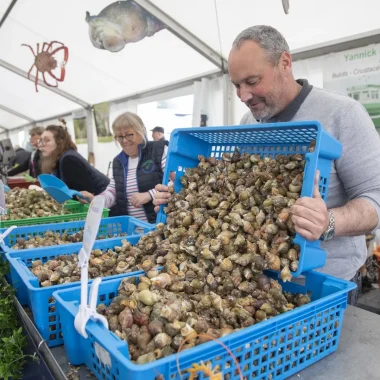 Producteur de bulots à Pirou plage