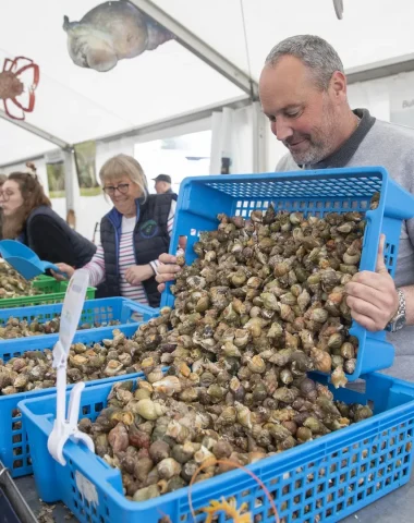 Producteur de bulots à Pirou plage