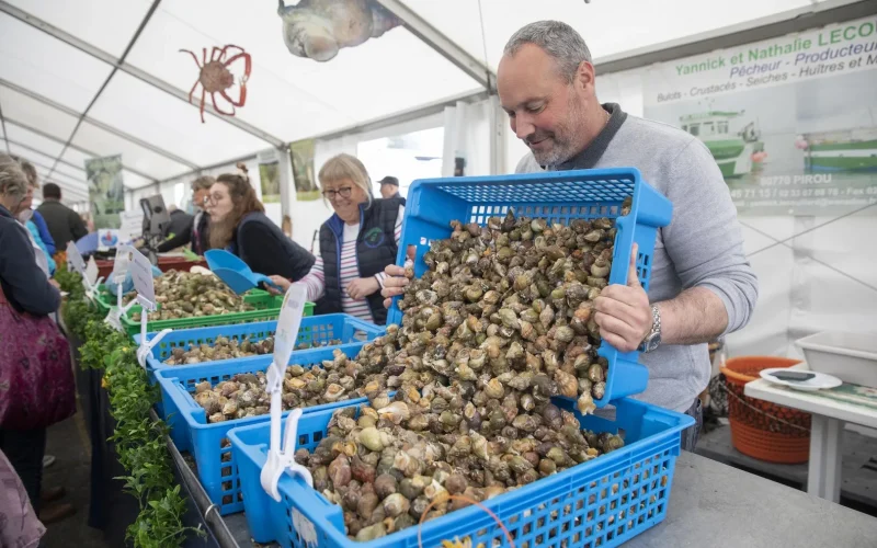 Whelk producer at Pirou beach