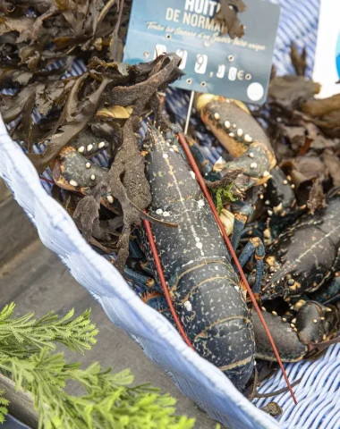 Lobsters at the Whelk Fair