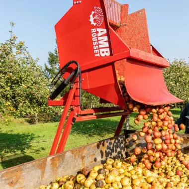 Récolte de Pommes à la Cidrerie de Claids