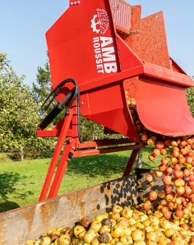 Apple harvest at the Claids Cider House