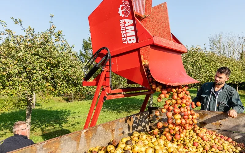 Récolte de Pommes à la Cidrerie de Claids