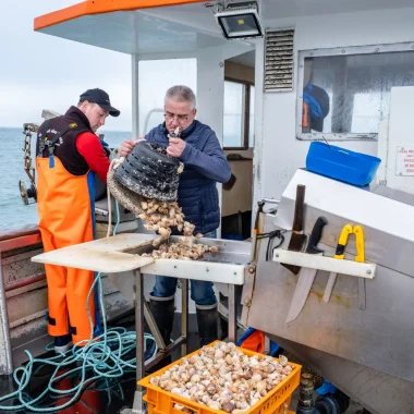 Les producteurs et artisans locaux