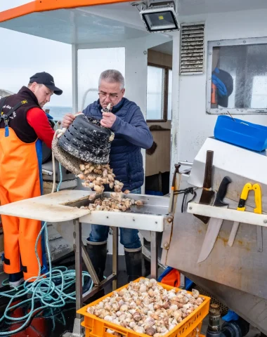 Les producteurs et artisans locaux