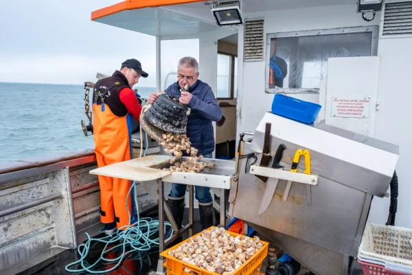 Les fruits de mer : bulots, huîtres, moules, moussettes