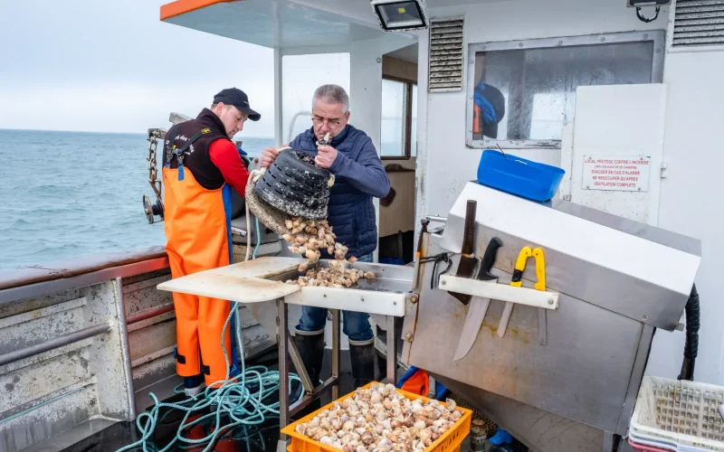 Les producteurs et artisans locaux