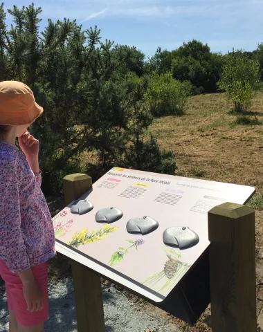 Lac des Bruyères discovery trail