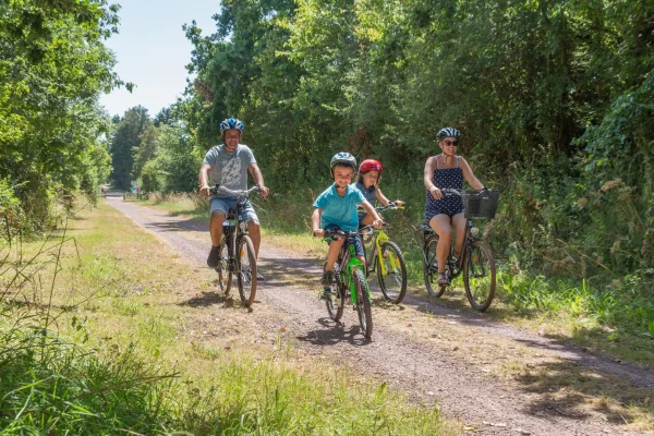 Ces itinéraires bucoliques sont bien plus que de simples pistes