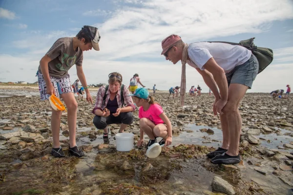 Initiation à la pêche à pied