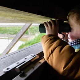 Observer les oiseaux migrateurs au havre de Geffosses