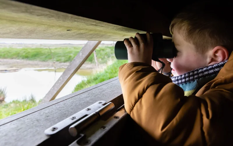Observer les oiseaux migrateurs au havre de Geffosses