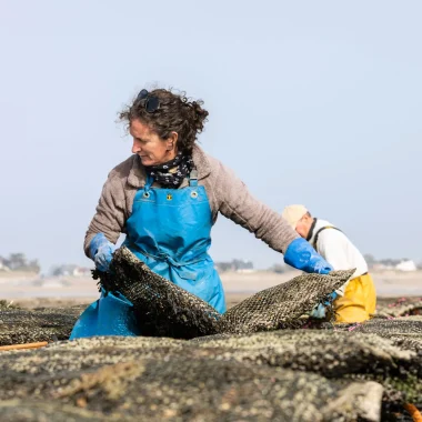 Les fruits de mer : bulots, huîtres, moules, moussettes