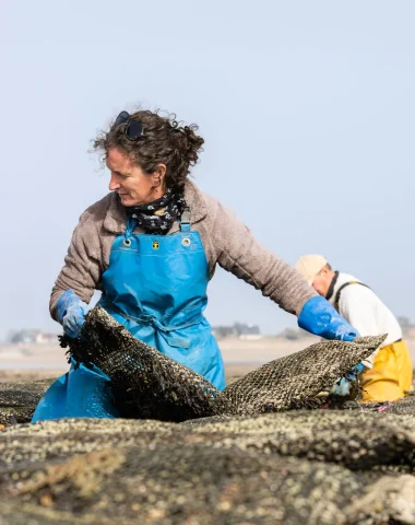 Les fruits de mer : bulots, huîtres, moules, moussettes