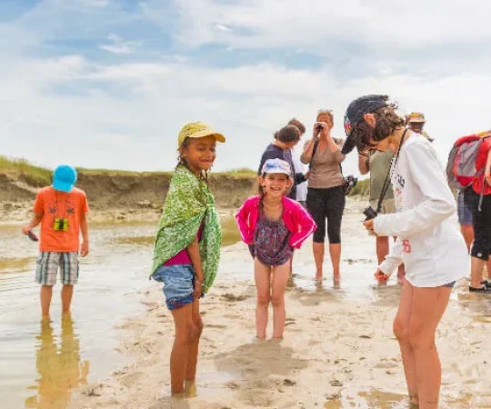 Meublé de tourisme > Le Martin Pêcheur