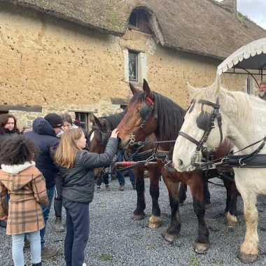 Que faire pendant les vacances d’hiver ?
