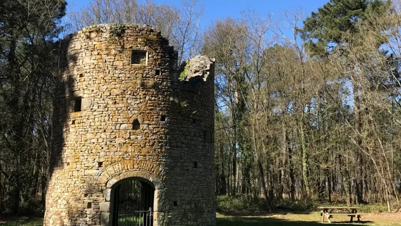 Donjon et moulin de Pirou